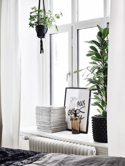 Window Ledge Decor, Ledge Decor, Window Sill Decor, Large Indoor Plants, Kitchen Plants, Window Ledge, Indoor Window, Indoor Design, House Plants Indoor