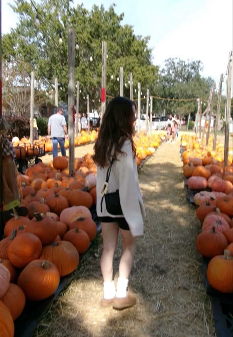 pumpkin patch photo Fall Digital Camera, Pumpkin Picking Aesthetic, Pumpkin Patch Poses, Pumpkin Patch Pics, Leg Warmers Cute, Pumpkin Pics, Trendy Uggs, Pumpkin Patch Outfits, Digital Camera Pics