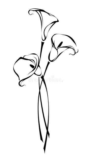 Beautiful Monochrome Black White Bouquet Lily Isolated Background Stock Illustrations – 307 Beautiful Monochrome Black White Bouquet Lily Isolated Background Stock Illustrations, Vectors & Clipart - Dreamstime Calla Lily Line Drawing, Cala Lily Drawings, Calla Lily Drawing, Black White Bouquet, Lily Tattoo Design, Lilies Drawing, Arum Lily, Calla Lily Flowers, Bouquet Tattoo