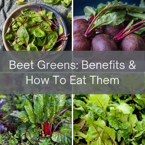 Beet Leaf Recipes, Beets Health Benefits, Beets Benefits, Beet Green Recipes, How To Boil Beets, Growing Beets, Beetroot Benefits, Cooking Beets, Raw Beets