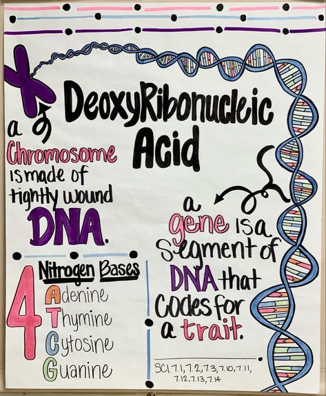 Dna Anchor Chart, Biology Anchor Charts, Secondary Science Classroom Decor, Biology Anchor Charts High Schools, Biology Classroom Decorations, Genetics Anchor Chart, Science Choice Boards High School, Teaching Biology High School, High School Biology Classroom