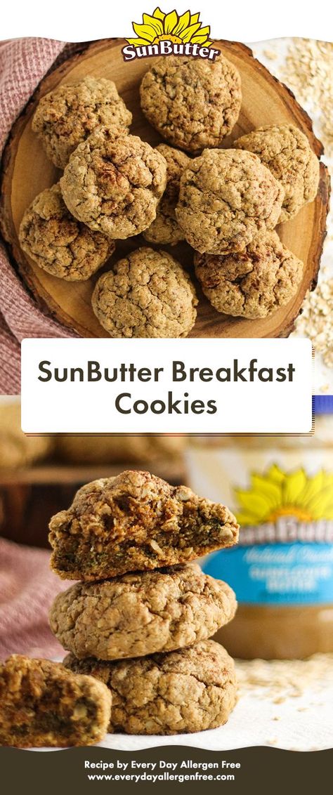 Dairy Free Cookie, Nut Free Breakfast, Sunbutter Cookies, Sunbutter Recipes, Healthy Breakfast Baking, Breakfast Cookie Recipe, Dairy Free Cookies, Granola Bar, Grab And Go Breakfast