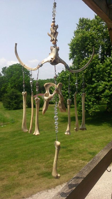 Bone Wind Chime, Bone Sculpture, Oddities Decor, Animal Skeleton, Taxidermy Art, Vulture Culture, Bone Crafts, Witchy Crafts, Bone Art