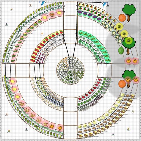 Driveway Circle, Fruit Garden Design, Tall Raised Garden Beds, Garden Beds Diy, Garden Markers Diy, Circle Garden, Beds Diy, Garden Areas, Vegetable Garden Planning