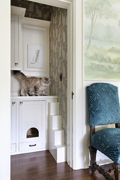 Cat Closet, Closet Transformation, Kids Play Spaces, Custom Wood Doors, Custom Millwork, Closet Renovation, Closet Remodel, Cat Door, Home Libraries