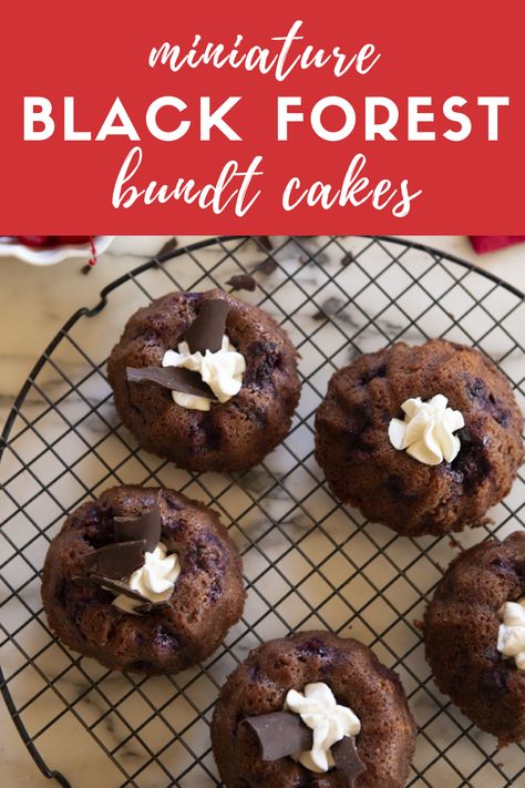 Sweet and decadent, these mini cakes are the perfect treat. Black Forest Mini Bundt Cake, Sweetened Whipped Cream, Chocolate Squares, Unsweetened Chocolate, Melting Chocolate Chips, Scrumptious Desserts, Sweet Cherries, Maraschino Cherry, Chocolate Cherry