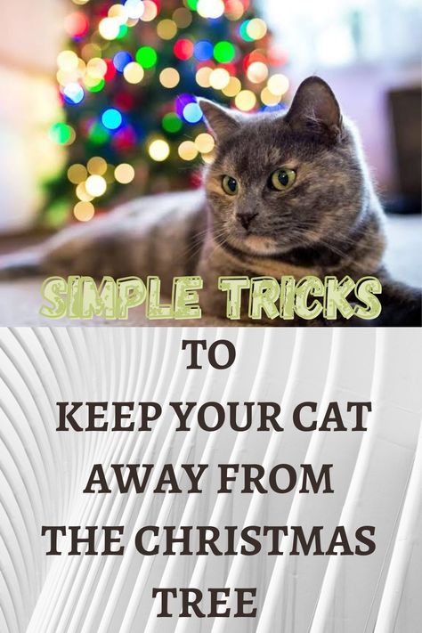 Keeping Cats Out Of Christmas Tree, How To Cat Proof Your Christmas Tree, Cat Proofing Christmas Tree, Keep Cats Out Of Christmas Tree, Cat Safe Christmas Decorations, How To Keep Cats Out Of Christmas Tree, Cats And Christmas Trees, Cat Proof Christmas Tree Ideas, Cat Friendly Christmas Decorations