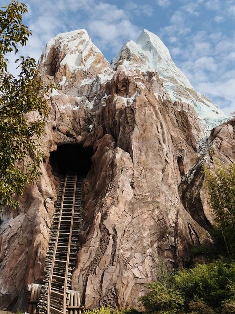 Expedition Everest Disney, Animal Kingdom Rides, Expedition Everest, Florida Holiday, Disney Adult, Splash Mountain, Disney Aesthetic, Happiest Place On Earth, Disney Trip