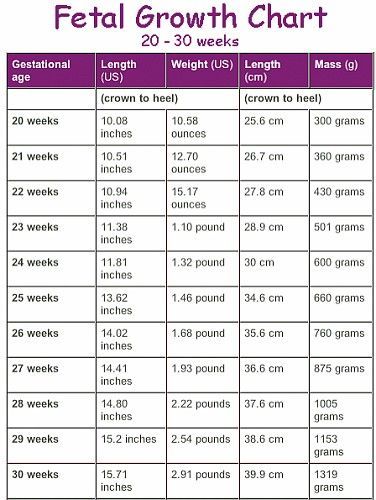 Pregnancy Growth Chart, Fetal Growth Chart, Baby Weight Chart, Pregnancy Chart, Powerpoint Chart Templates, 40 Weeks Pregnant, Pregnant Baby, Weight Charts, Powerpoint Charts