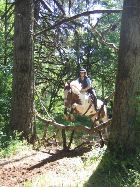 Great cross- country jump - Look who I found on Pinterest. Jackson and Angela. Cross Country Jumps, Horse Diy, Horse Blankets, Horse Jumping, Horse Stables, Horse Barns, Cute Horses, Horse Life, Horse Training