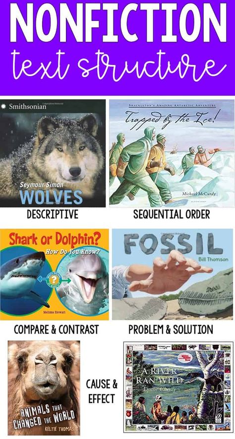 Nonfiction Mentor Texts, Fiction Text Structure, Teaching Text Structure, Teaching Nonfiction, Nonfiction Text Structure, Text Structures, Nonfiction Text Features, Fiction Text, Text Structure