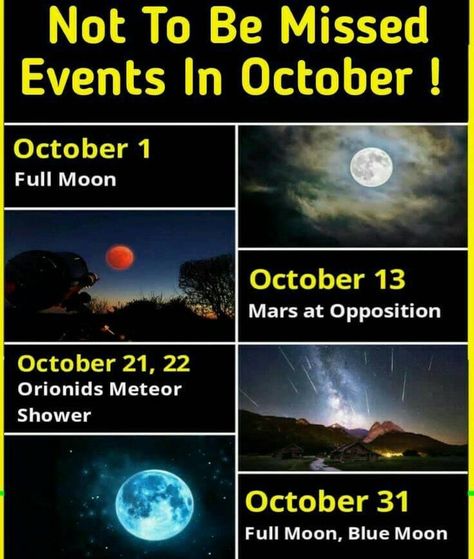 Interesting Science Facts Mind Blown, Amazing Science Facts Mind Blown, October Facts, Science Facts Mind Blown, Astronomy Facts, Psychological Facts Interesting, Science Fact, Fun Facts About Life, Interesting Science Facts