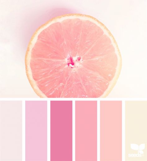 Fresh Hues | fresh hues | Bloglovin’ Color Schemes Colour Palettes, Color Palate, Design Seeds, Color Palette Design, Wallpaper Vintage, Vintage Hippie, Pink Grapefruit, Color Inspo, Colour Schemes