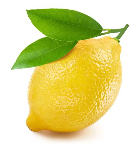 Lemon Pictures, Lemon Juice Uses, Benefits Of Lemon, Lemon Leaf, Water Lemon, Lemon Health Benefits, Lemon Uses, Pork Roast Recipes, Lemon Leaves