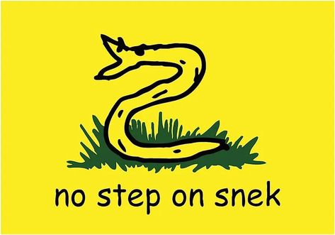 no step on snek Snek Meme, No Step On Snek, Gadsden Flag, Camping Crafts, I Cant Even, Bones Funny, Dankest Memes, Funny Images, Funny Memes