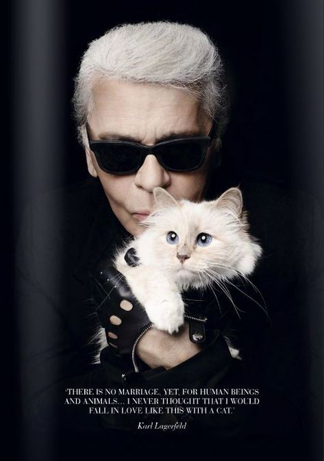 Carl Lagerfeld, Choupette Lagerfeld, Karl Lagerfeld Choupette, Celebrities With Cats, Men With Cats, Cat People, Chanel Paris, Makeup Brands, Beautiful Cats