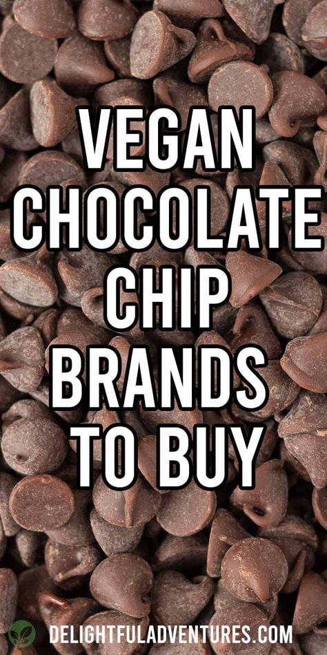 Are chocolate chips vegan? Some brands are and some are definitely not. In this article, you’ll find a list of vegan brands to look for the next time you go shopping, plus other helpful info you need to know so you can understand ingredient lists and feel confident buying any type of chocolate. Vegan Sweets Recipes, Type Of Chocolate, Vegan Chocolate Chips, Easy Vegan Cookies, Vegan Oatmeal Cookies, Vegan Gluten Free Cookies, Vegan Chocolate Recipes, Vegan Christmas Cookies, Vegan Recipes Beginner