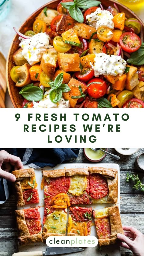 9 Fresh Tomato Recipes To Use Up Your Summer Produce Field Tomato Recipes, Lots Of Tomatoes Recipes, Tomato On The Vine Recipes, Summer Tomatoes Recipes, Meals With Fresh Tomatoes, Tomato Season Recipes, Unique Tomato Recipes, Dinner Ideas With Fresh Tomatoes, Recipes Using Tomatoes From Garden