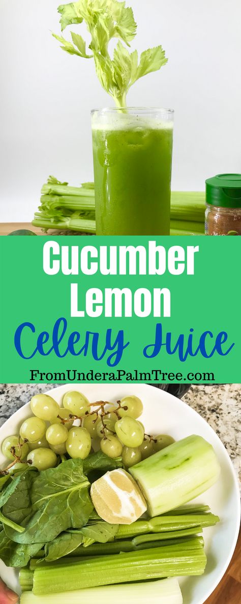 Cucumber Lemon Celery Juice < From Under a Palm Tree Cucumber And Celery Juice, Celery Cucumber Juice, Cucumber Celery Juice, Celery Lemon Juice, Cucumber Celery Lemon Ginger Juice, Apple Cucumber Lemon Ginger Juice, How To Drink Celery Juice, Benefits Of Celery Juice, Celery Green Apple Cucumber Juice