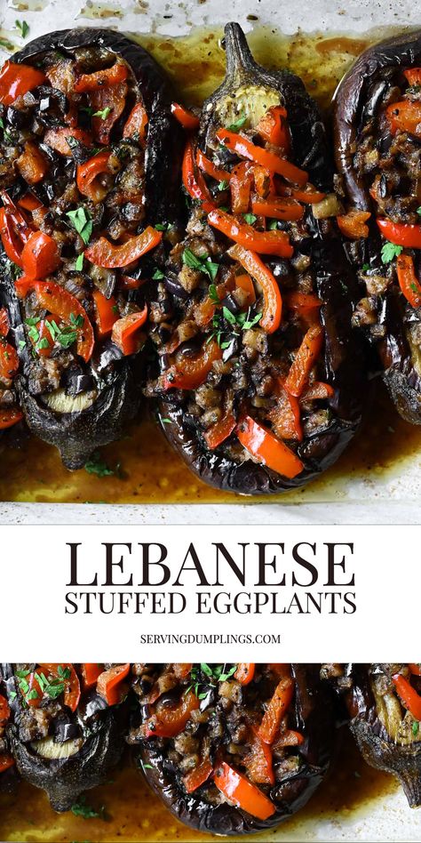 Lebanese Stuffed Eggplant, Simple Eggplant Recipes Healthy, Egg Plant Ideas, Stuffed Aubergine Recipe, Eggplant Rolls Recipes, Stuffed Eggplant Recipes Vegetarian, Small Eggplant Recipes, Greek Eggplant Recipes, Eggplant Kebab