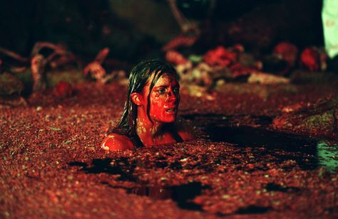 Sarah (Shauna Macdonald) from "The Descent" (2005) Shauna Macdonald, Josh Lucas, Jane Levy, Thomas Jane, Stephen Lang, Gabriel Byrne, Horror Movies Scariest, Julie Bowen, Dan Stevens