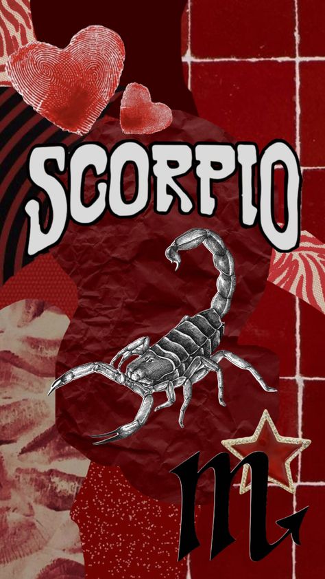 #scorpio #october #november #zodiac November Scorpio, October Scorpio, No Vember, Scorpio Zodiac