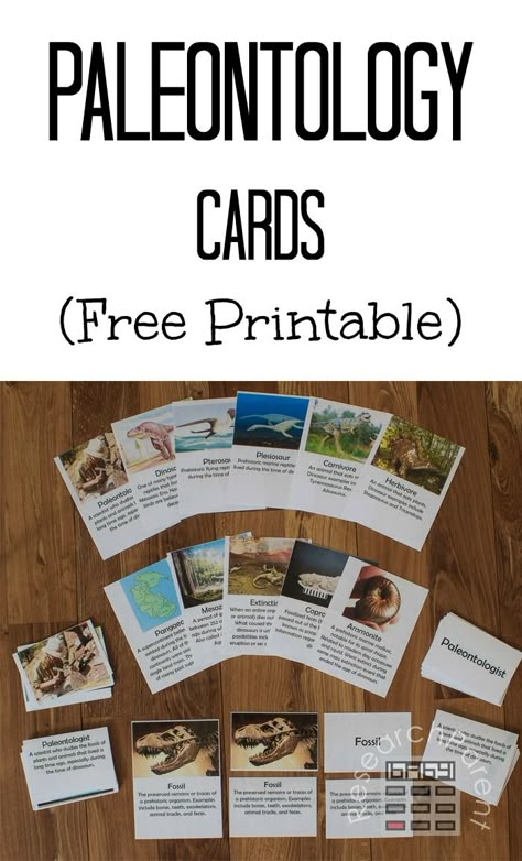 Paleontology Cards - Free, printable, Montessori-inspired cards featuring terms such as dinosaur, plesiosaur, pterosaur, Pangaea, and Mesozoic Era. Learning material for kindergarten or elementary-aged kids. via @researchparent Dinosaur Timeline, Dinosaur Unit Study, Dinosaur Lesson, Dinosaur Activities Preschool, Dinosaur Projects, Mesozoic Era, Dinosaurs Preschool, Montessori Elementary, Dinosaur Activities