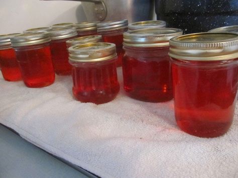 My Homemade Life: Cooking Mayhaw Jelly Recipe, Fruit Butter Recipes, Mayhaw Jelly, Prickly Pear Jelly, Pear Jelly, Jam Ideas, Fruit Butter, Jelly Fruit, Peach Jelly