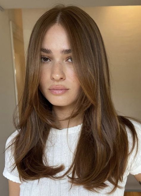 Kadeřnické Trendy, Honey Brown Hair, Brown Hair Looks, Brown Hair Inspo, Fesyen Rambut, Vlasové Trendy, Hairstyles For Layered Hair, Haircuts For Medium Hair, Long Brown Hair