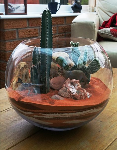 I made this terrarium to remind me and my wife, the awesome time we had in Arizona.  To make it more fun, we made an homage to the cartoon “Wile e coyote and roadrunner” Cactus Terrarium Ideas, Mountain Terrarium, Arid Terrarium, Desert Terrarium, Terrarium Design, Tarerium Plants, Mini Cactus Garden, Unique Terrarium, Beach Theme Succulent Terrarium