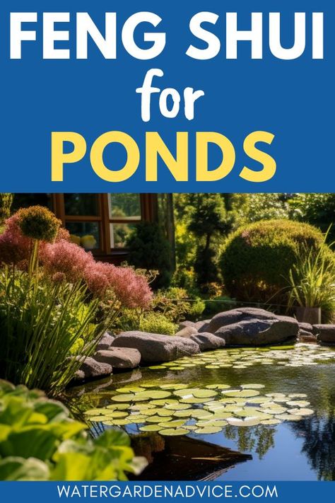 feng shui for pond design Feng Shui Garden Design, Koi Pond Backyard, Feng Shui Garden, Water Gardens Pond, Pond Maintenance, Outdoor Ponds, Garden Pond Design, Diy Pond, Pond Fountains