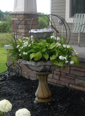 Birdbath Ideas, Unique Bird Baths, Bird Bath Planter, Container Planting, Inside Garden, Bird Baths, Garden Containers, Container Gardens, Flower Bed