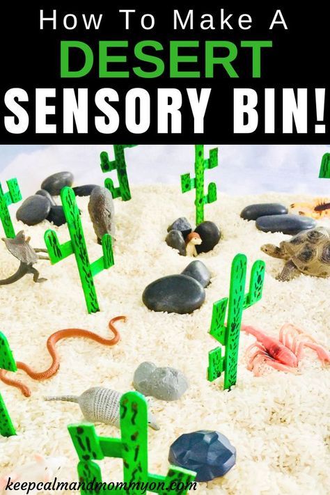 How To Make A Desert Sensory Bin! Sensory Bin Ideas for kids, Sensory activities for toddlers, sensory activities for preschoolers. Fine motor skills. Lizard Activities For Preschool, Africa Activities, Arizona Activities, Sensory Activities For Toddlers, Desert Crafts, Habitat Activities, Kids Sensory Activities, Sensory Bin Ideas, Sensory Activities For Preschoolers