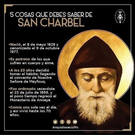 San Charbel, St Charbel, Bible Quotes, Me Quotes, Angeles, Quotes, Santos