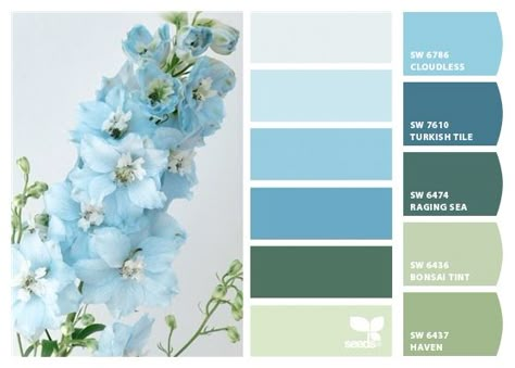 Turquoise And Sage Color Palettes, Sea Glass Color Palette Colour Schemes, Light Blue And Green Kitchen, Light Blue And Green Bathroom, Bonsai Tint Sherwin Williams, Periwinkle And Green Color Palette, Light Blue Pallet, Blue And Green Colour Palette, Blue And Green Color Scheme