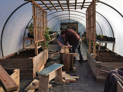 Inside Polytunnel Ideas, Diy Poly Tunnel, Polytunnel Interior, Polytunnel Layout Ideas, Diy Polytunnel, Polytunnel Gardening, Polly Tunnel, Polytunnel Ideas, Small Polytunnel