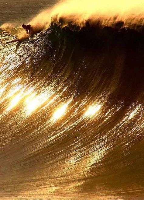 Bild Gold, Big Wave Surfing, Gold Waves, Gold Aesthetic, Surf Life, Surfing Waves, Shades Of Gold, Big Waves, Surfs Up