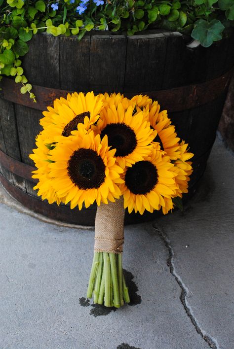 Sunflower A Bouquet Of Flowers, Sunflower Hand Bouquet, Simple Sunflower Bouquet Wedding, Sunflower For Wedding, Simple Sunflower Bouquet, Sunflower Bouquet Aesthetic, Flower Bouquet Sunflower, Sunflower Bouquet Wedding, Fall Sunflower Weddings