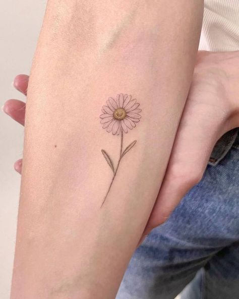 Daisy Carnation Tattoo, Daisy And Bee Tattoo, Single Daisy Tattoo, Realistic Daisy Tattoo, Dainty Daisy Tattoo, Fine Line Daisy Tattoo, Gerber Daisy Tattoo, Gerbera Daisy Tattoo, Daisy Tattoo Ideas