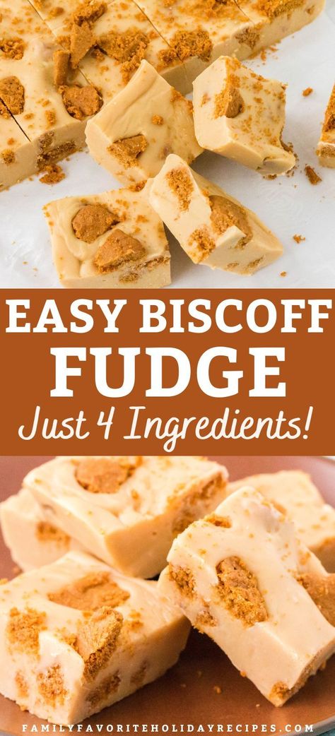 Biscoff Fudge, Biscoff Cookie Recipe, Biscoff Recipes, Best Christmas Desserts, Biscoff Cookie Butter, Fudge Recipes Easy, Best Christmas Recipes, Biscoff Cookies, Holiday Favorite Recipes