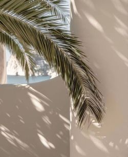 nature inspired modern living Beige Aesthetic, Summer Wallpaper, Travel Beauty, Beach Aesthetic, Insta Photo, White Aesthetic, Beach Vibe, Green Aesthetic, Aesthetic Backgrounds