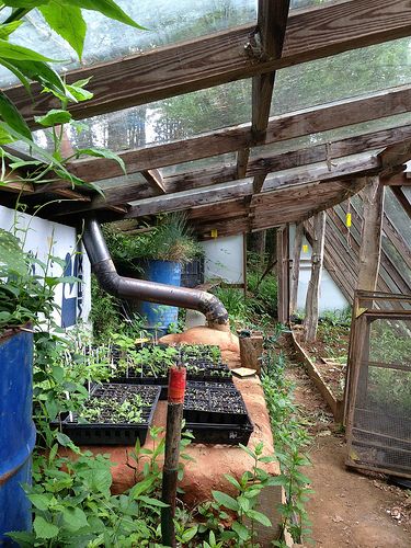 Rocket Mass Heater Greenhouse, Walapini Greenhouse, Greenhouse Guesthouse, Underground Greenhouse, Cold Frames, Outdoor Greenhouse, Indoor Greenhouse, Plants Growing, Backyard Greenhouse