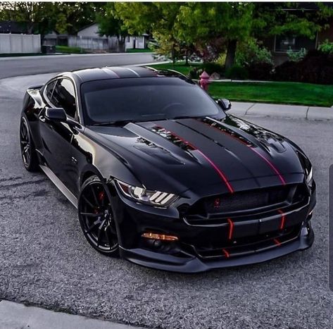 Sports Cars Mustang, Xe Ducati, Shelby Mustang Gt500, Mobil Mustang, Black Mustang, Shelby Gt 500, Car Decorations Interior Aesthetic, Cars Mustang, Car Decorations Interior