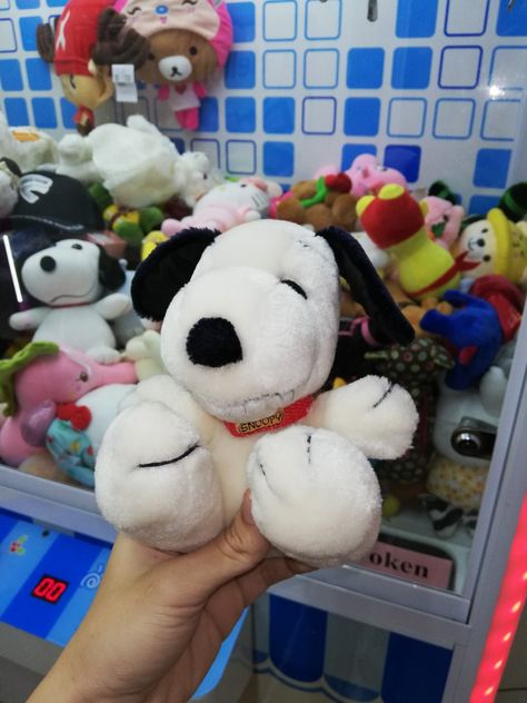 Nice, cute and fluffy! Snoopy is also really soft! Nice win! #clawmachine #peanuts #snoopy Snoopy Toys, Claw Machine, Peanuts Snoopy, Doll Toys, Snoopy, Dolls, Toys, Quick Saves