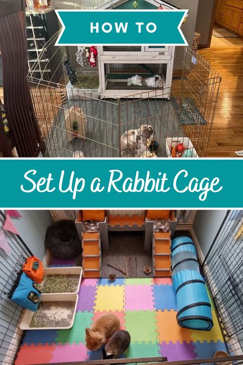 Rabbit Indoor House Ideas Small Space, Holland Lop Bunny Cages Indoor Rabbit, Bunny Cage Setup Ideas, Rabbit Habitat Indoor, Bunny Cage Setup, Rabbit Set Up Indoor, Indoor Bunny Habitat, Indoor Rabbit Cage Ideas, Indoor Rabbit Run