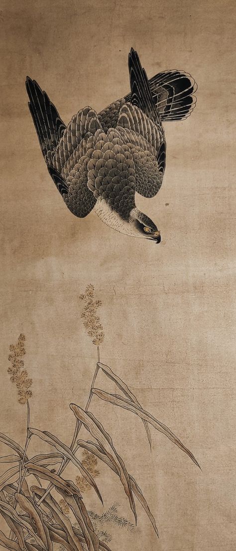 Original-Mitani Toshuku (1577-1654). Unkoku School, 17th century. Japanese falcon painting. Rice paper/ mineral paints/ ink Japanese Hawk Painting, Crow Japanese Art, Japanese Falcon Tattoo, Japanese Bird Painting, Traditional Japanese Art Tattoo, Traditional Japanese Art Wallpaper, Japanese Falcon, Japanese Hawk, Falcon Illustration