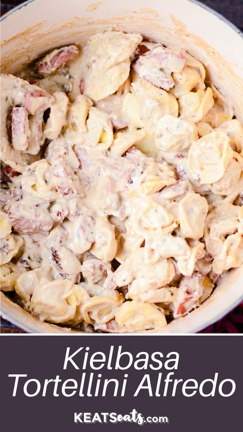 A recipe for tortellini and kielbasa with a homemade, creamy alfredo sauce. Add this pasta dish to your weeknight dinner rotation! Tortellini Kielbasa Recipes, Kielbasa Alfredo Pasta, Kielbasa And Tortellini Recipes, Tortellini And Kielbasa Recipes, Kielbasa Tortellini Recipes, Tortellini And Kielbasa, Kielbasa Alfredo, Tortellini Pasta Recipes, Kielbasa Tortellini