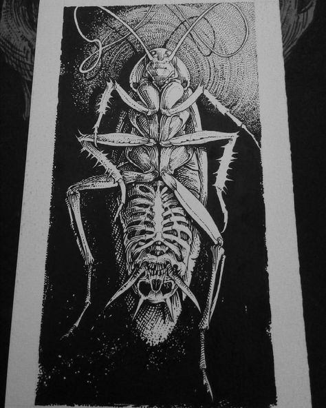 #cockroach #insect #inkdrawing Roach Drawing, Cockroach Drawing, Cockroach Tattoo, Exhibition Plan, Chest Ideas, Ib Art, Wild Onions, Tattoo Concepts, Arachnids