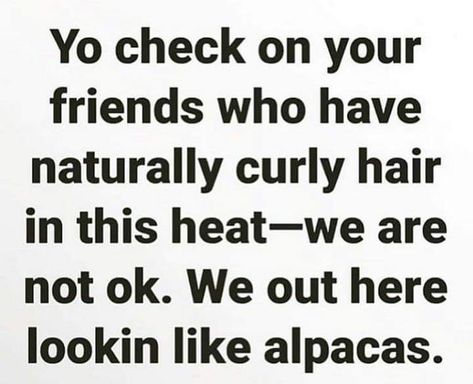 Curly Girl Problems, Hair Jokes, Hair Quotes Funny, Curly Hair Quotes, Annoying Things, Fitness Humor, Biracial Hair, Curly Hair Problems, Naturally Curly Hair