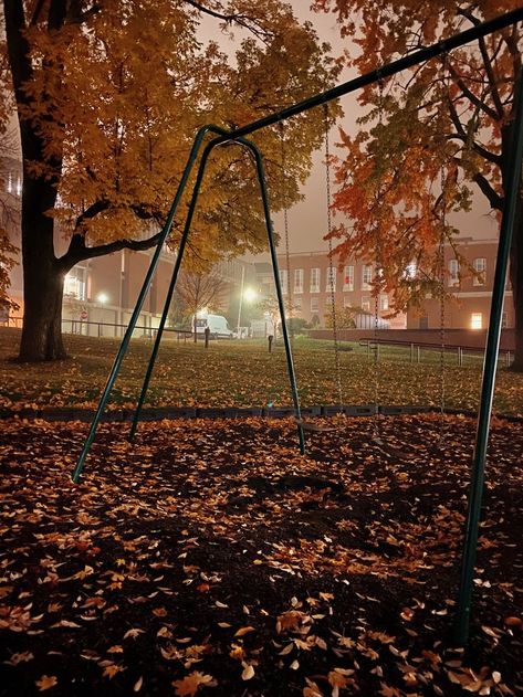 Susan B Anthony, University Of Rochester, Peppermint Tea, Swing Set, Dream House Plans, Railroad Tracks, At Night, University, Bowl